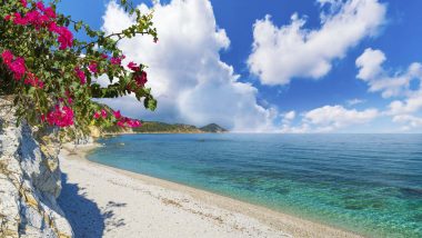 Spiaggia di Pedulella Isola Elba